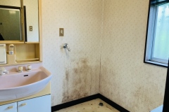 洗面所・洗面台